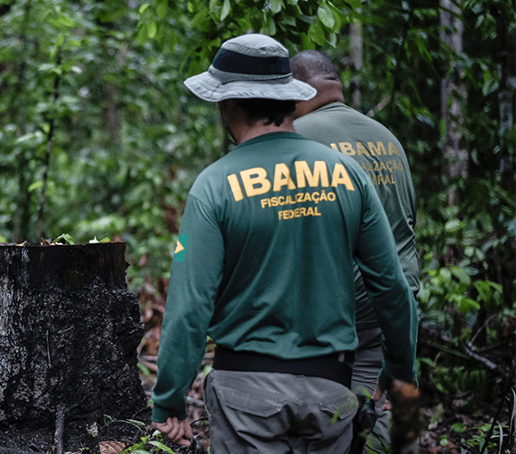 ibama